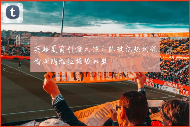 英超夏窗引援火热六队破亿热刺领衔海鸥维拉强势加盟